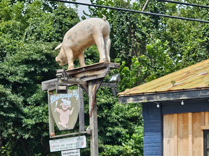 Blue Ridge Pig