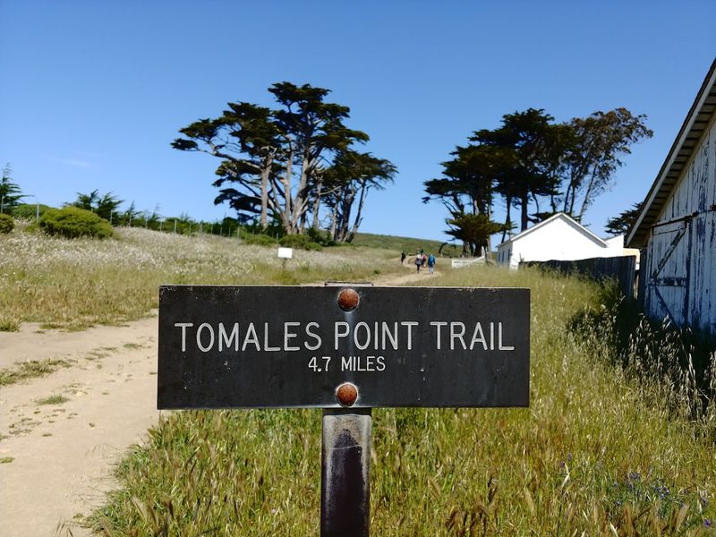 Tomales Point Trail, Point Reyes National Seashore, Inverness