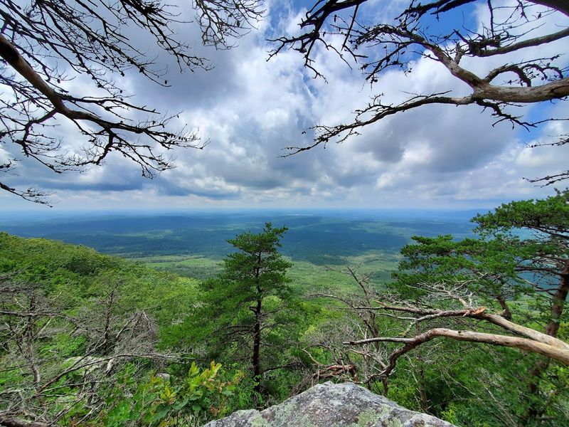 The Scenic Drive Up Alabama Highway 281