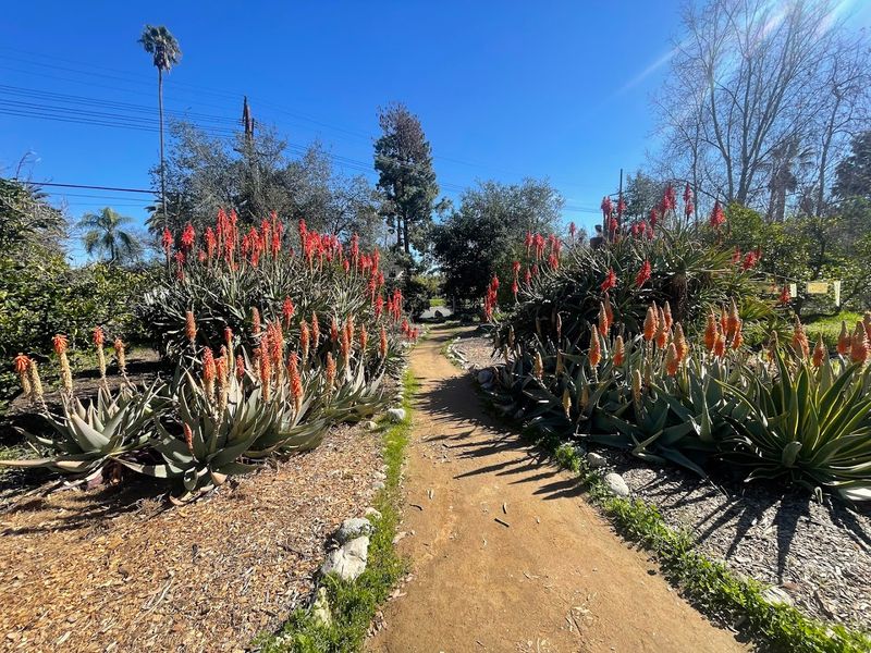 Arlington Garden, Pasadena