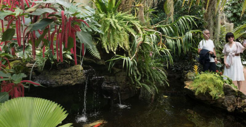 California Hidden Gardens And Arboretums That Feel Surprisingly Peaceful