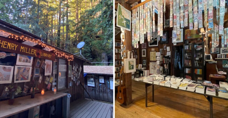California’s Hidden Literary Haven Every Book Lover Needs To Explore Immediately