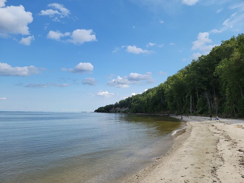 Flag Ponds Nature Park