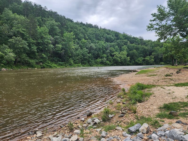 Riverside Picnic Areas Perfect for Family Outings