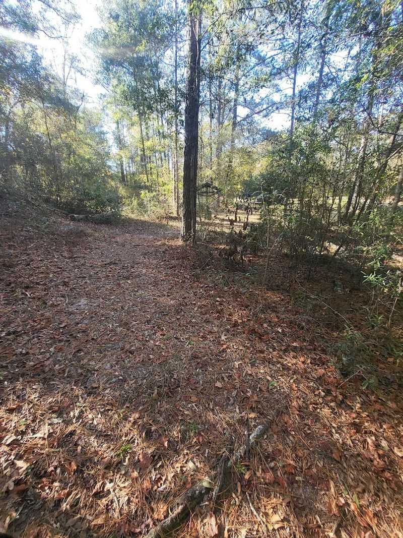 Hiking The Park Trail