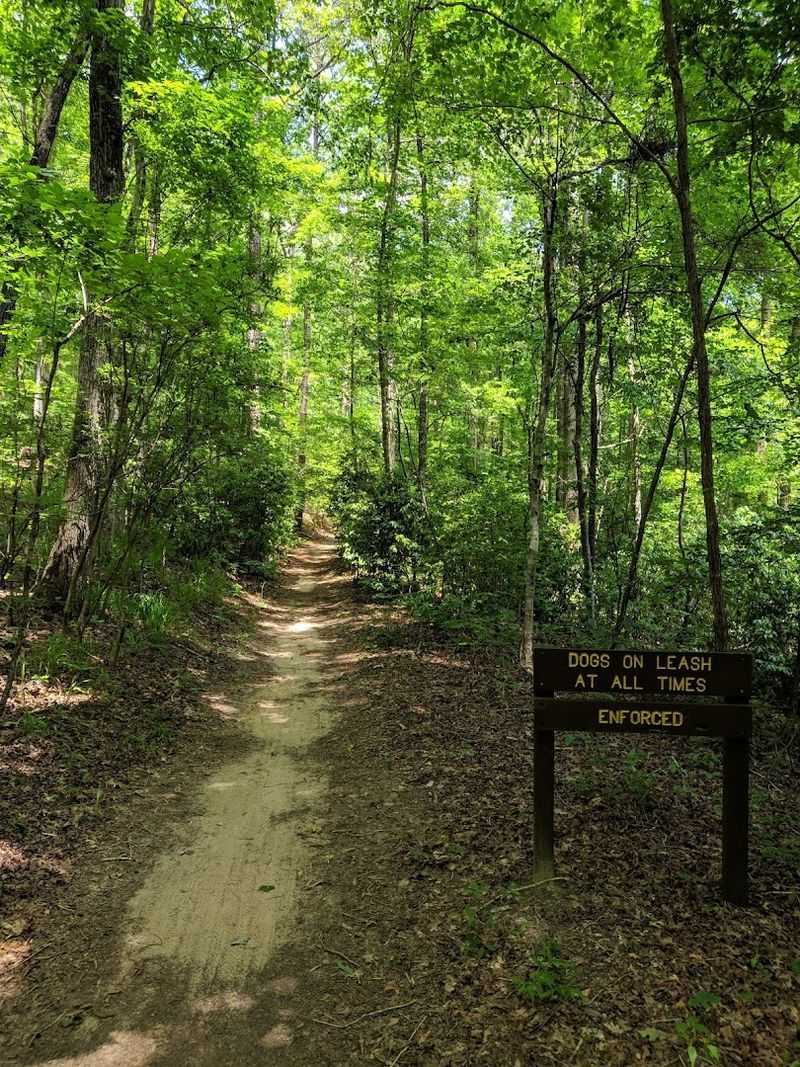 The Trails Are Perfect For Every Fitness Level