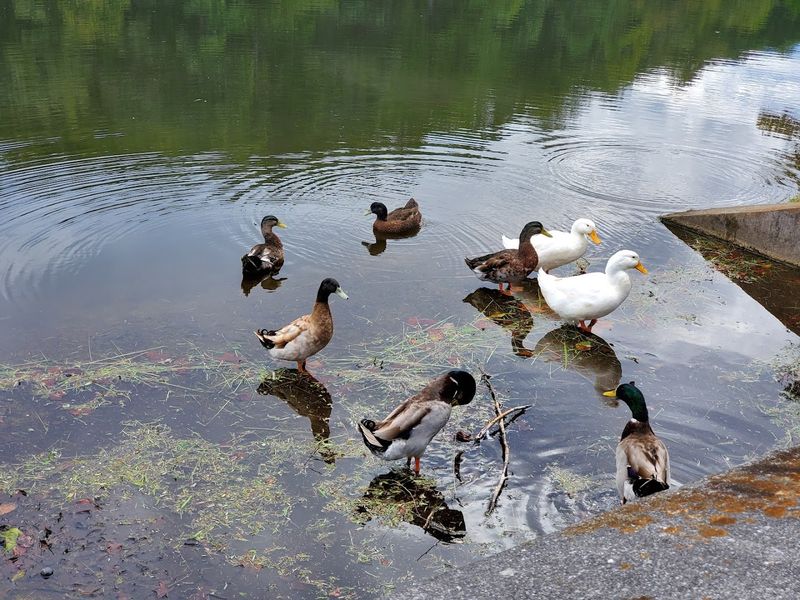 Birdwatching Heaven With Over 100 Species