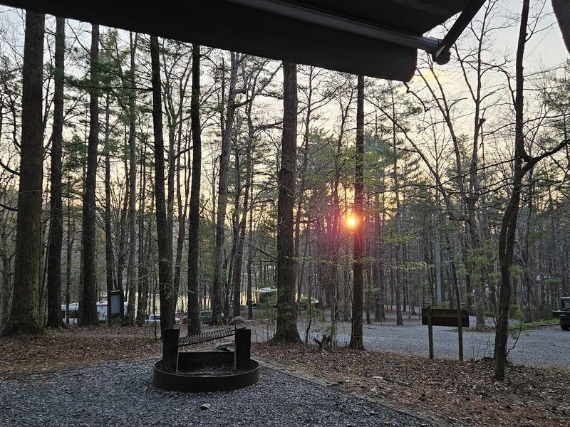 Picnic Areas Built for Relaxed Family Gatherings