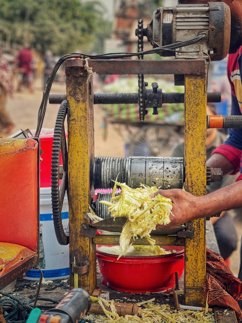 Sorghum Pressing Demonstration