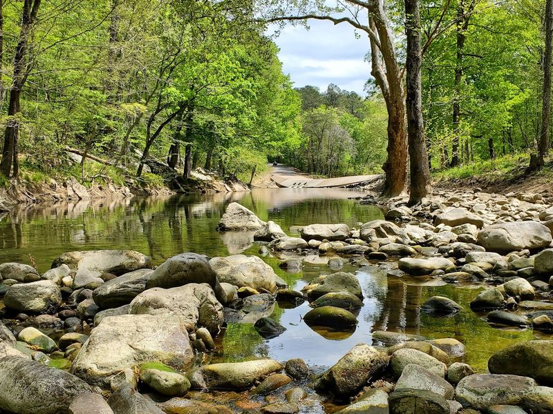 Morgan’s Cove And Quiet Creekside Fishing