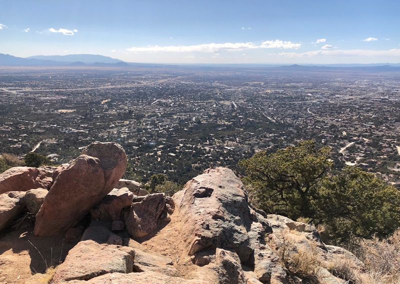 High Desert Landscape