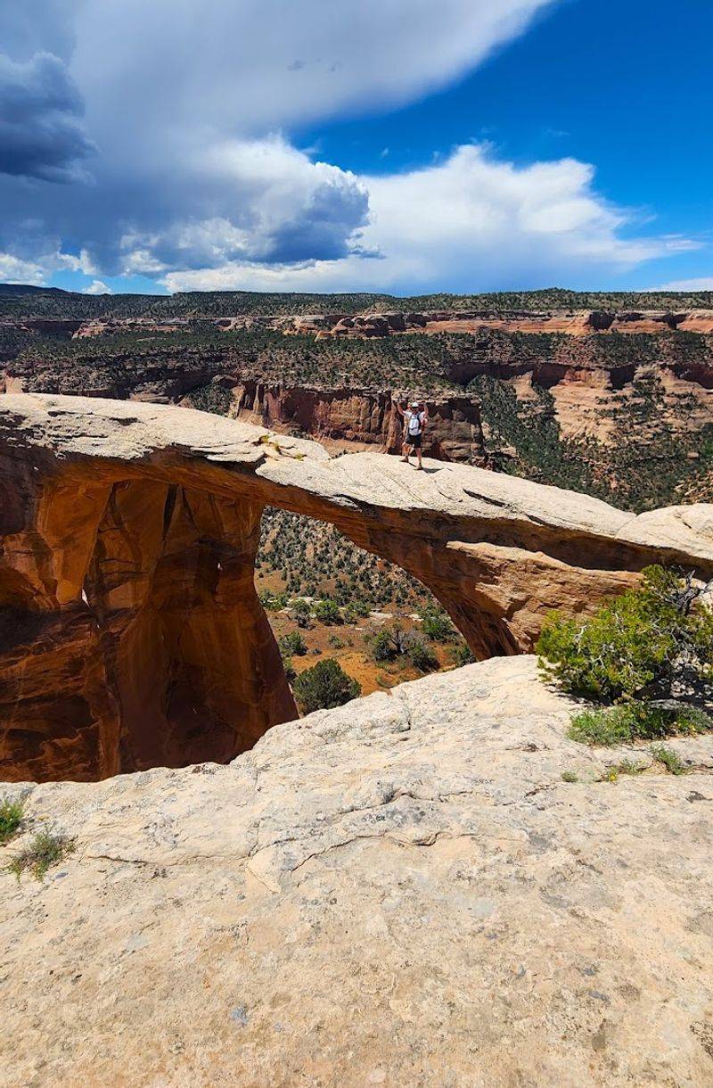 Rattlesnake Canyon Arches
