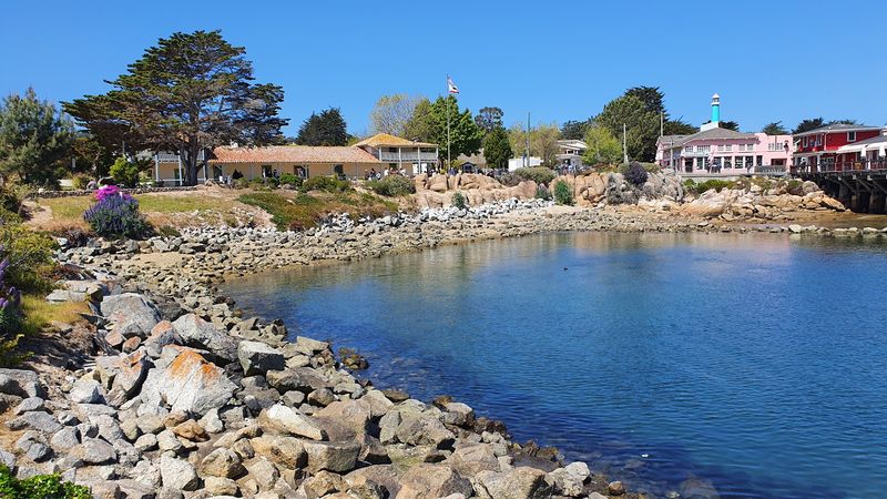 Monterey: Where Marine Life and History Share the Same Shoreline