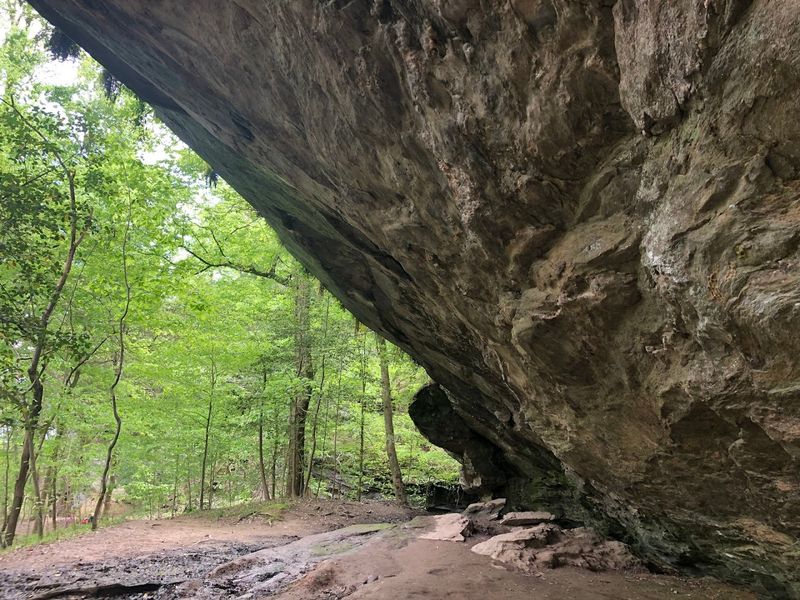 Raven Rock State Park