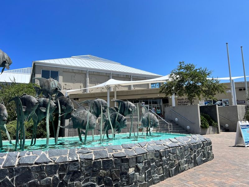 North Carolina Aquarium At Fort Fisher