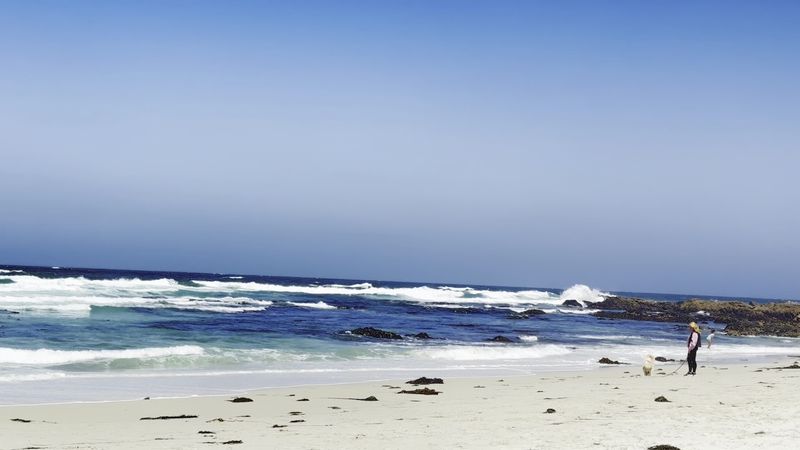 Asilomar State Beach — Pacific Grove