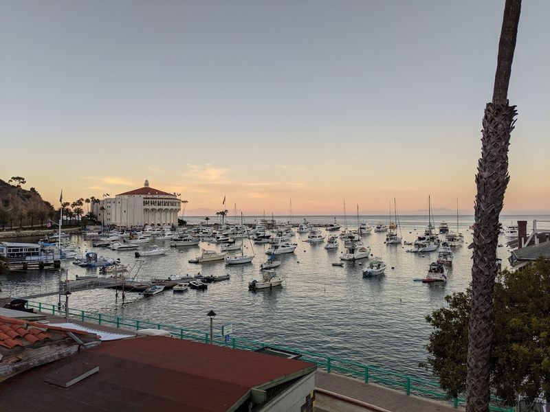 Avalon (Catalina Island)