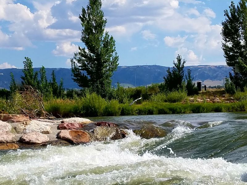 Wildlife And Open Skies