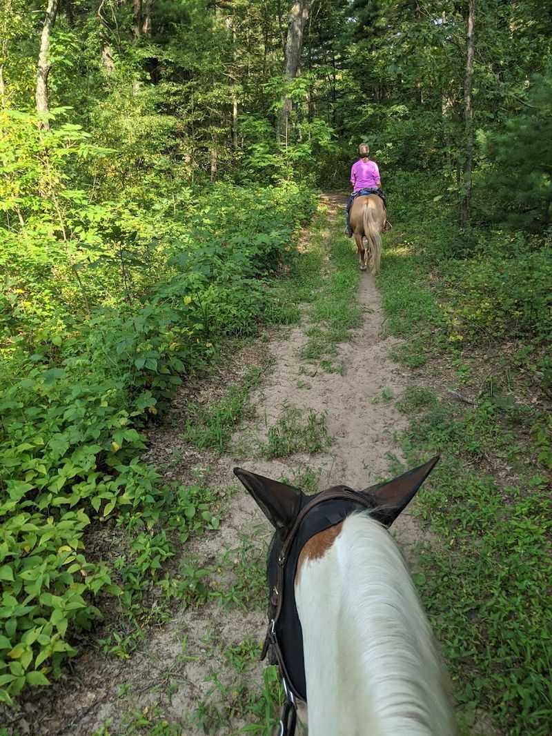 Sand Ridge State Forest