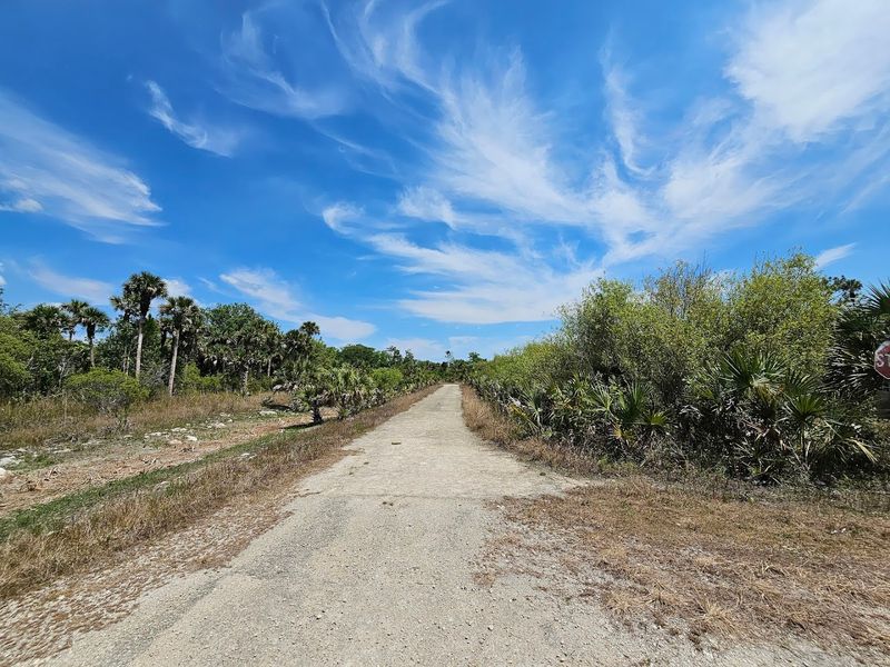 These 10 Tranquil Florida Spots Are Still Under The Radar - Decor Hint Fakahatchee Strand Preserve State Park, Collier County