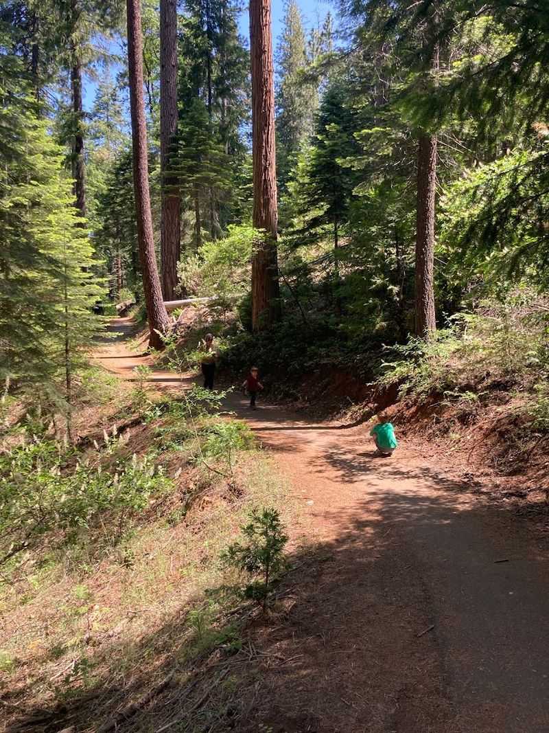 This California Bike And Hike Trail Has Scenic Overlooks Worth The Climb - Decor Hint Mountain Biking Is a Core Part of the Trail's Identity