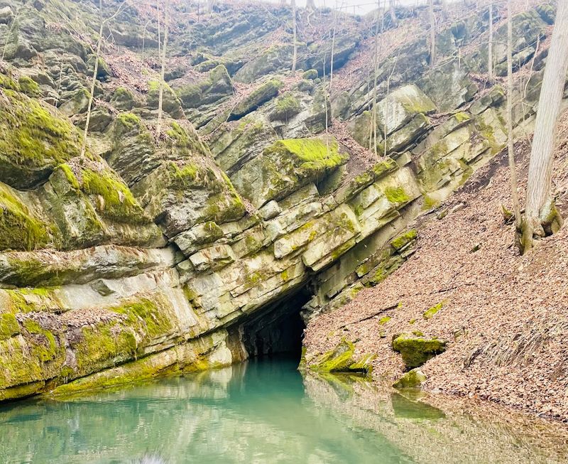 Penn's Cave And Wildlife Park, Centre County