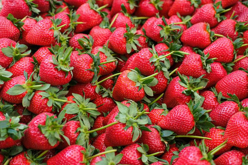 Seasonal Flavors And Why They Matter