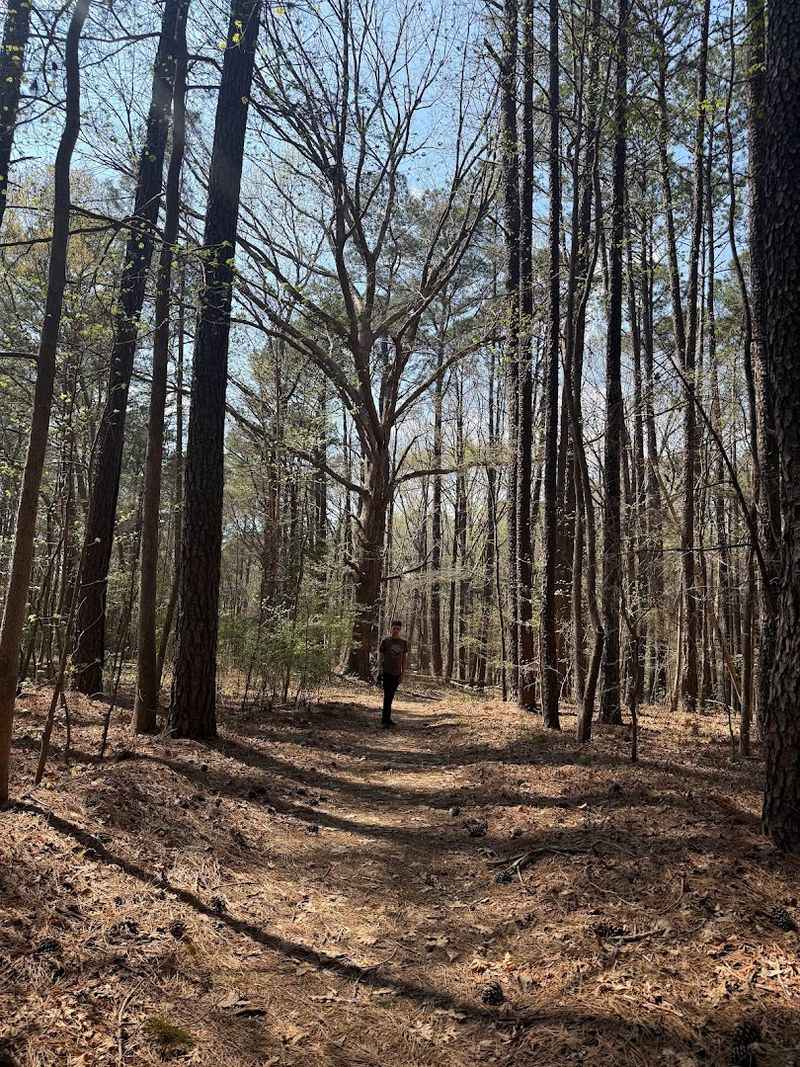 This Scenic North Carolina Spot Is A Dream For Camping, Swimming And Sunset Lovers - Decor Hint Wander Through Forest Paths