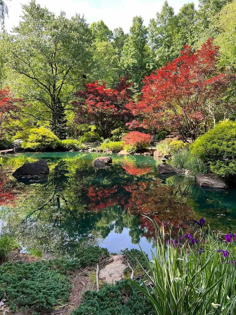 Dogwoods and Azaleas