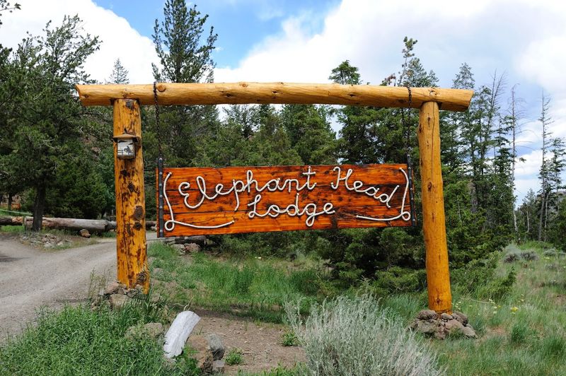 Elephant Head Lodge