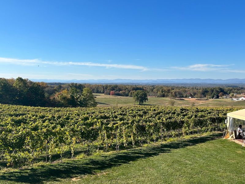 Raffaldini Vineyards & Winery