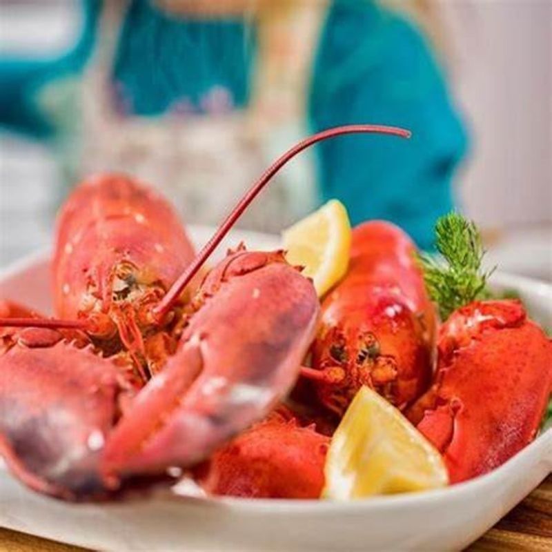 Lobster Cove