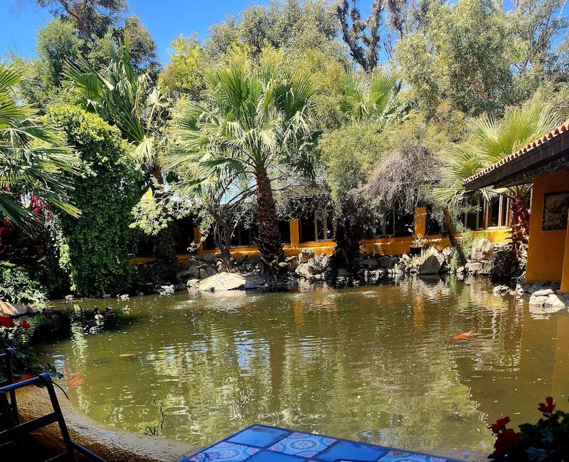 10 Arizona Restaurants That Are So Good They Could Easily Earn Michelin Stars - Decor Hint El Encanto