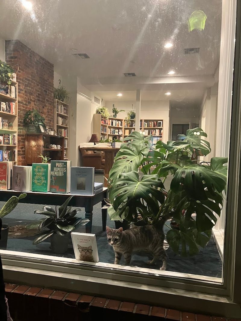 The Cozy Corner Bookstore