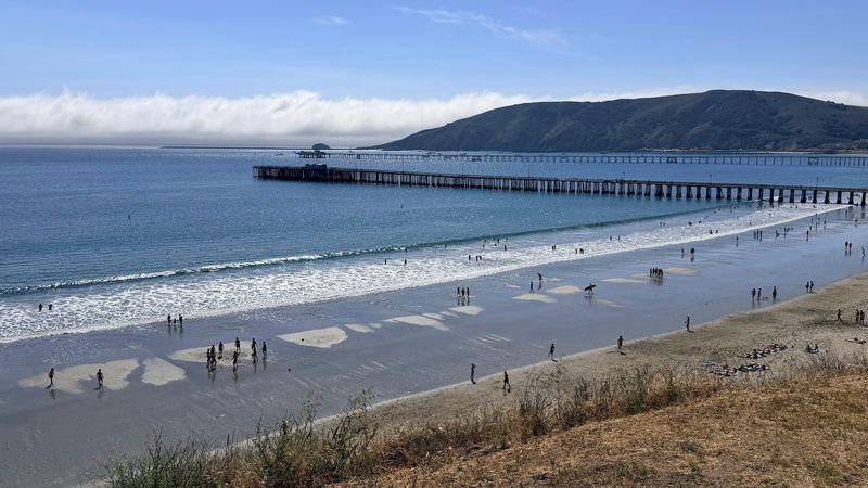 Sustainability Efforts Shape How The Town Cares For Itself