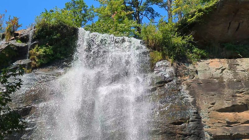 Every Season Brings Something New