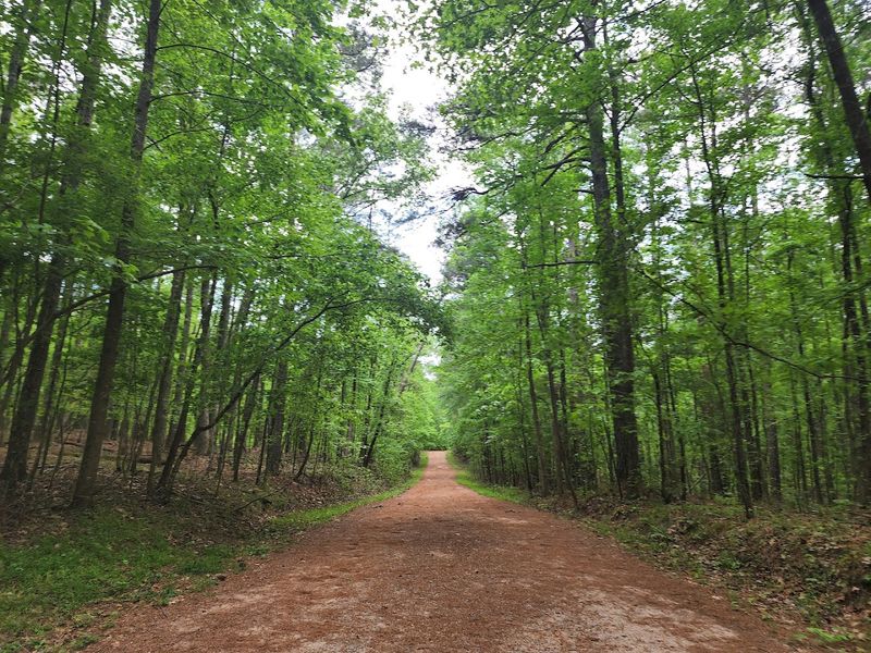 Kennesaw Mountain National Battlefield Park