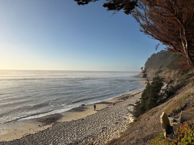 Seals On The Beach Below The Bluff Are A Real Highlight