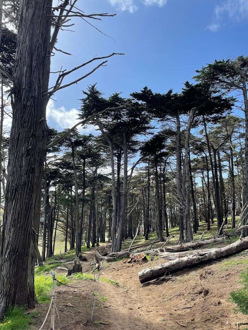 Lobos Creek Valley Trail, Presidio, San Francisco