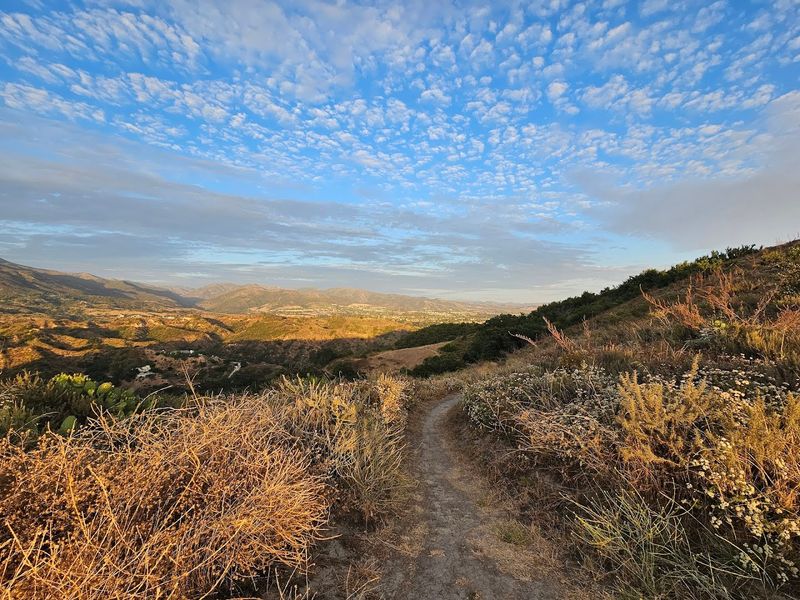 Mesa Trail — O'Neill Regional Park