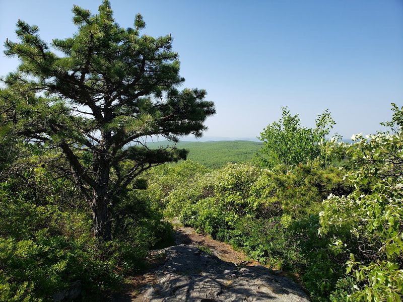 Bear Mountain Trail, Salisbury