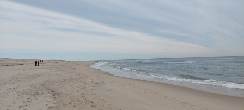 Assateague Island National Seashore