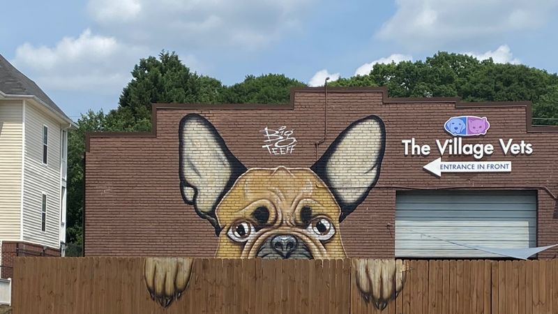 A Pet-Friendly Outdoor Corridor