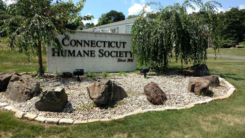 The Work Behind The Scenes At Connecticut Humane Society