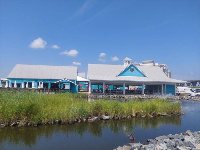 Fisherman's Crab Deck