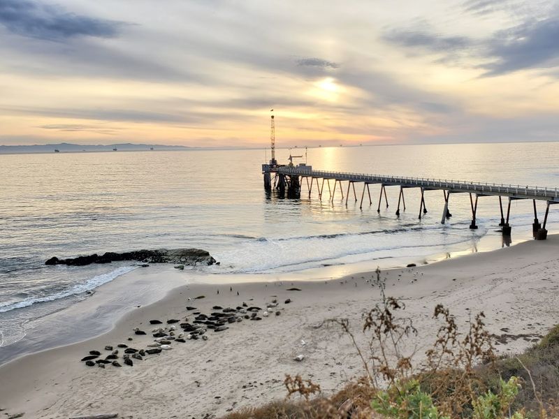 Carpinteria State Beach — Carpinteria