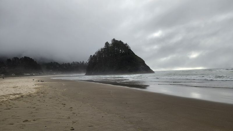 Neskowin Ghost Forest And Beach