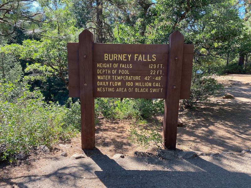 Practical Packing and Safety