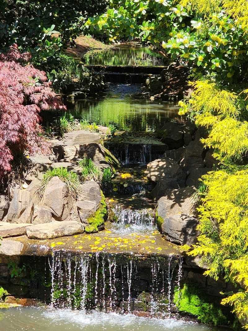 Spring-Fed Ponds and Bridges