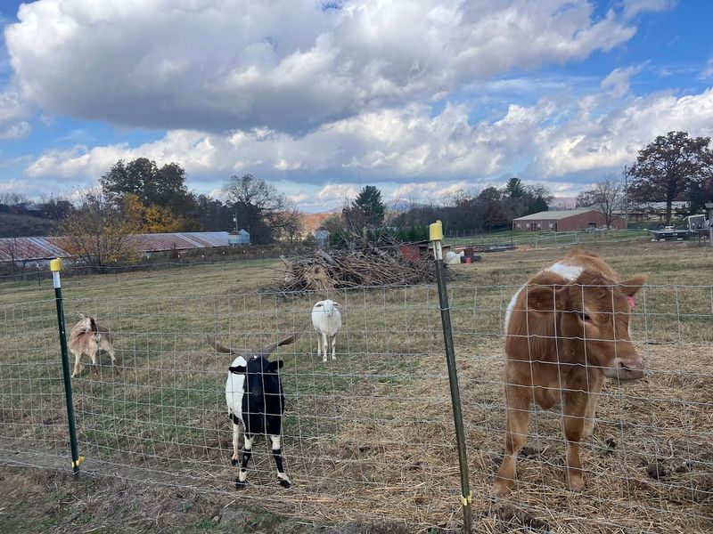 Plenty Of Room To Wander